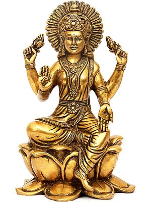 Lakshmi Ji - Goddess of Fortune