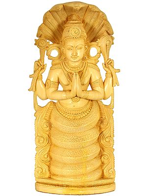 Saint Patanjali - Founder of Yoga