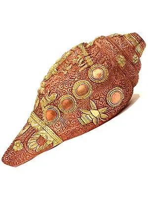 Vishvarupa Vishnu Conch