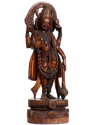 The Sublime Image of Lord Vishnu