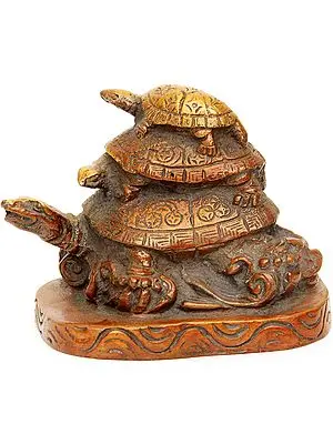 Feng Shui Tortoise