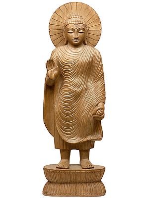 Buddha in ‘Abhaya’ Granting Posture