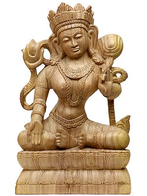 Goddess Green Tara Wooden Statue | Tibetan Buddhist Deity Idol