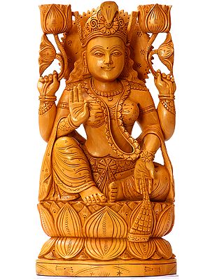 Goddess Lakshmi Raining Coins