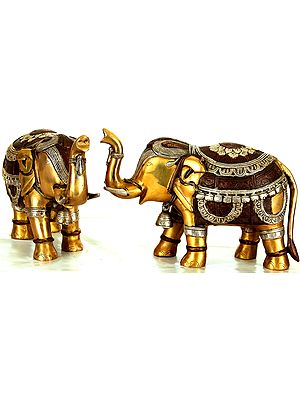 Elephant Pair with Bells and Upraised Trunks (Supremely Auspicious According to Vastu)