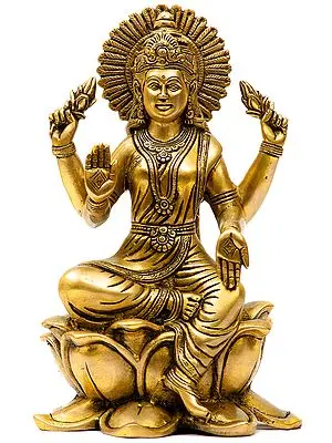 Lakshmi Ji - Goddess of Fortune and Prosperity