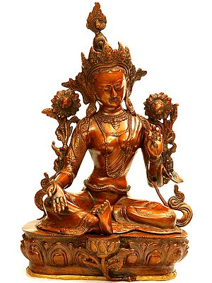 Tibetan Buddhist Savior Goddess Green Tara