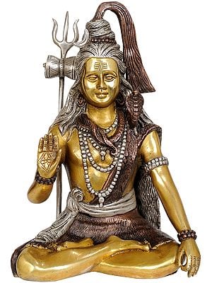 11" Lord Shiva Blessing His Devotees In Brass | Handmade | Made In India