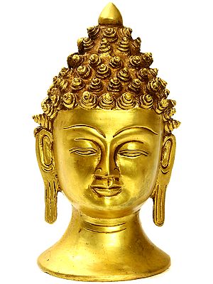 The Enlightened Buddha