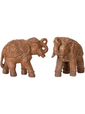 Handcrafted Elephant Pair with Upraised Trunks (Supremely Auspicious According to Vastu)
