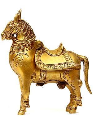 Saddled Royal Horse