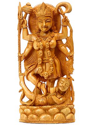 Mother Goddess Kali