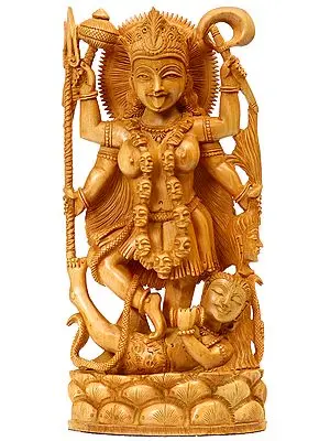 Mother Goddess Kali