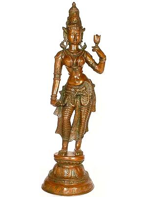 28" A Rare Form of Two-Armed Goddess Lakshmi Brass Statue | Handmade | Made In India