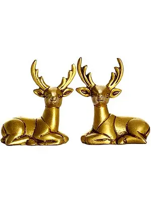 Antelope Pair