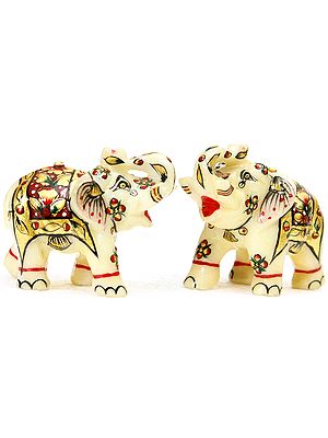 Small Elephant Pair with Upraised Trunks (Supremely Auspicious According to Vastu)