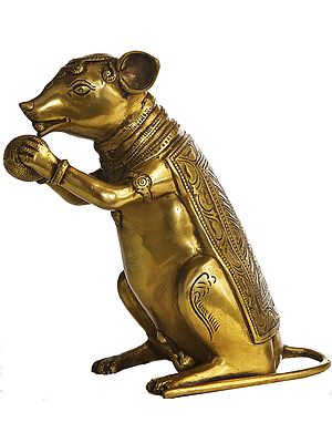 Rat (Mount of Lord Ganesha) Enjoying Modak