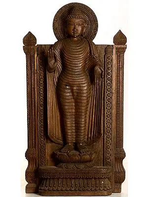 Buddha, the Universal Teacher