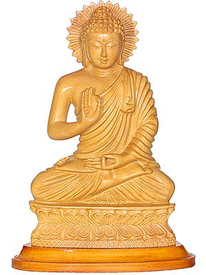 Lord Buddha Interpreting His Dharma