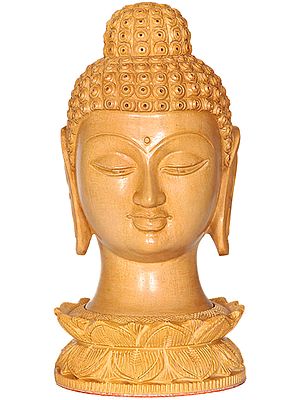 Lord Buddha Head