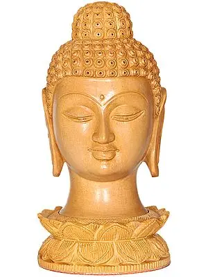 Lord Buddha Head
