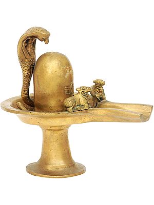 Shiva Linga with Twin Nandi