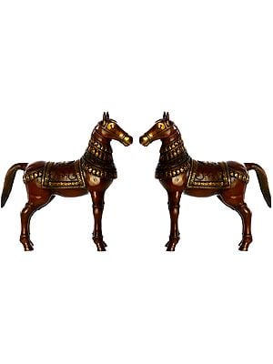 Saddled Royal Horse Pair
