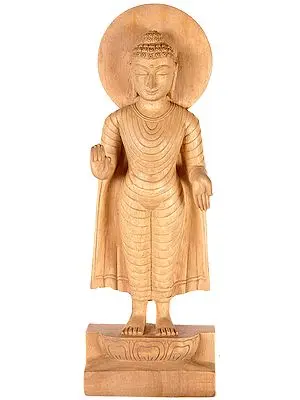 Standing Buddha in Abhaya Mudra