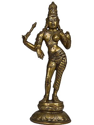 Ardhanarishvara (Shiva Shakti)