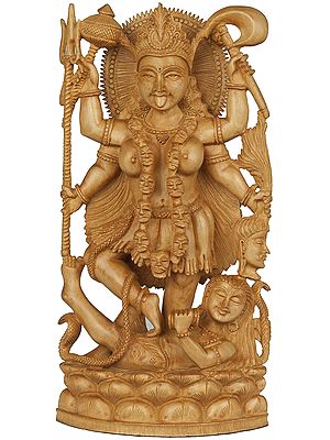 A Narrative Sculpture of Goddess Kali