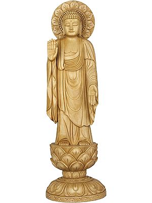 Standing Japanese Buddha in Abhaya Mudra and Varada Mudra