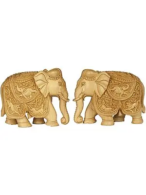 Royal Elephant Pair (Saddle Carved with the Scenes from Wild Life)