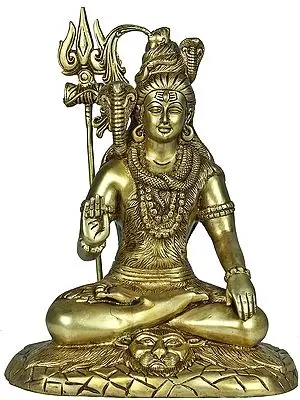 Mahayogi Shiva in Abhaya Mudra