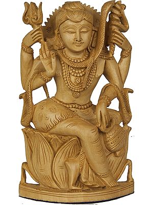 Lord Shiva Seated on Lotus