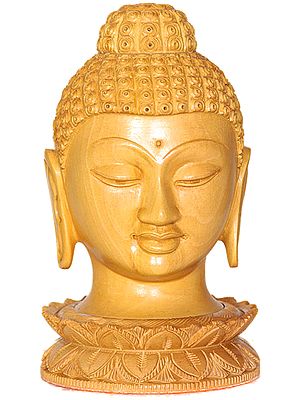 Lord Buddha Head