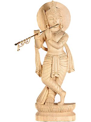 Lord Krishna Playing Flute