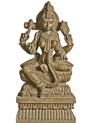 South Indian Goddess Mariamman