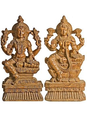 Lakshmi Vishnu