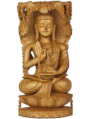 The Buddha Under the Bodhi-Tree