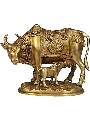 Cow and Calf - Most Sacred Animal of India