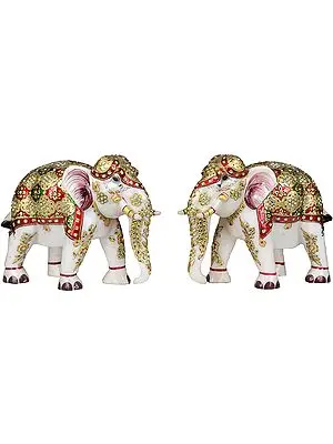Decorated Royal Elephants Pair