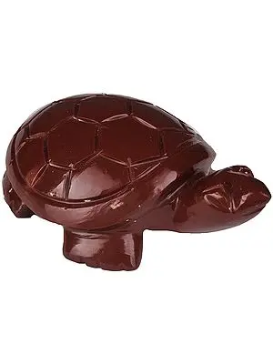 Feng Shui Tortoise (Carved in Jasper)