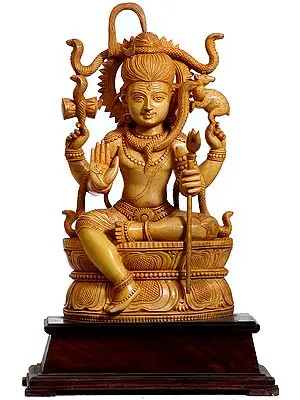Lord Shiva as Pashupatinath