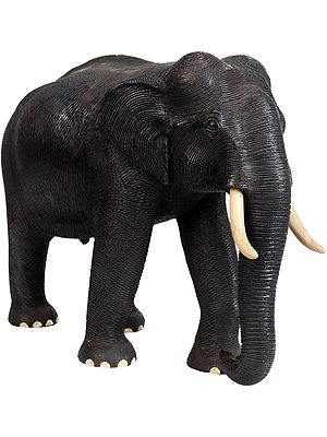 Fine and Realistic Rendered Elephant