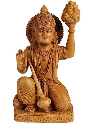 Lord Hanuman Carrying Mount Dron Full of Sanjeevani Herbs