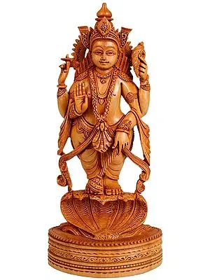 Lord Vishnu Standing on Sheshnaga