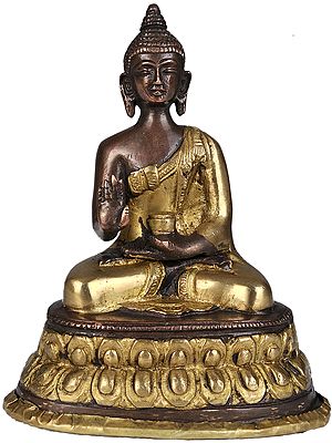 Lord Buddha Granting Abhaya to His Devotees