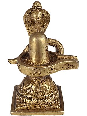 Shiva Linga with Snake Crowning It