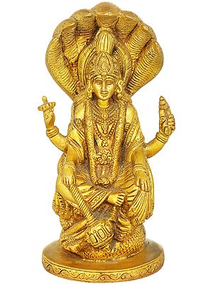 Lord Vishnu Seated on Sheshnag