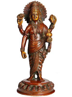 Dhanvantari - The Physician of the Gods (Holding the Vase and Herbs of Immortality)
